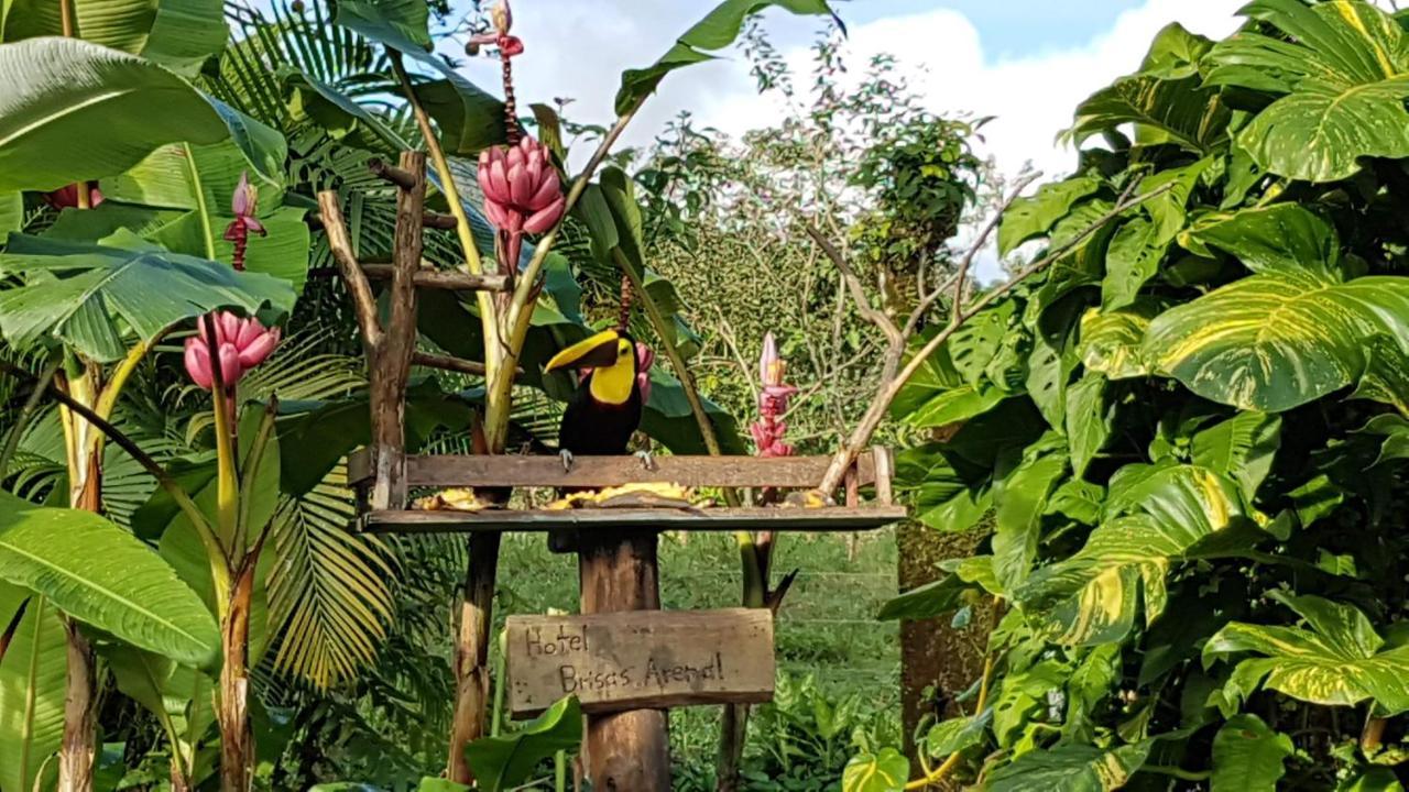 Hotel Brisas Arenal La Fortuna Luaran gambar