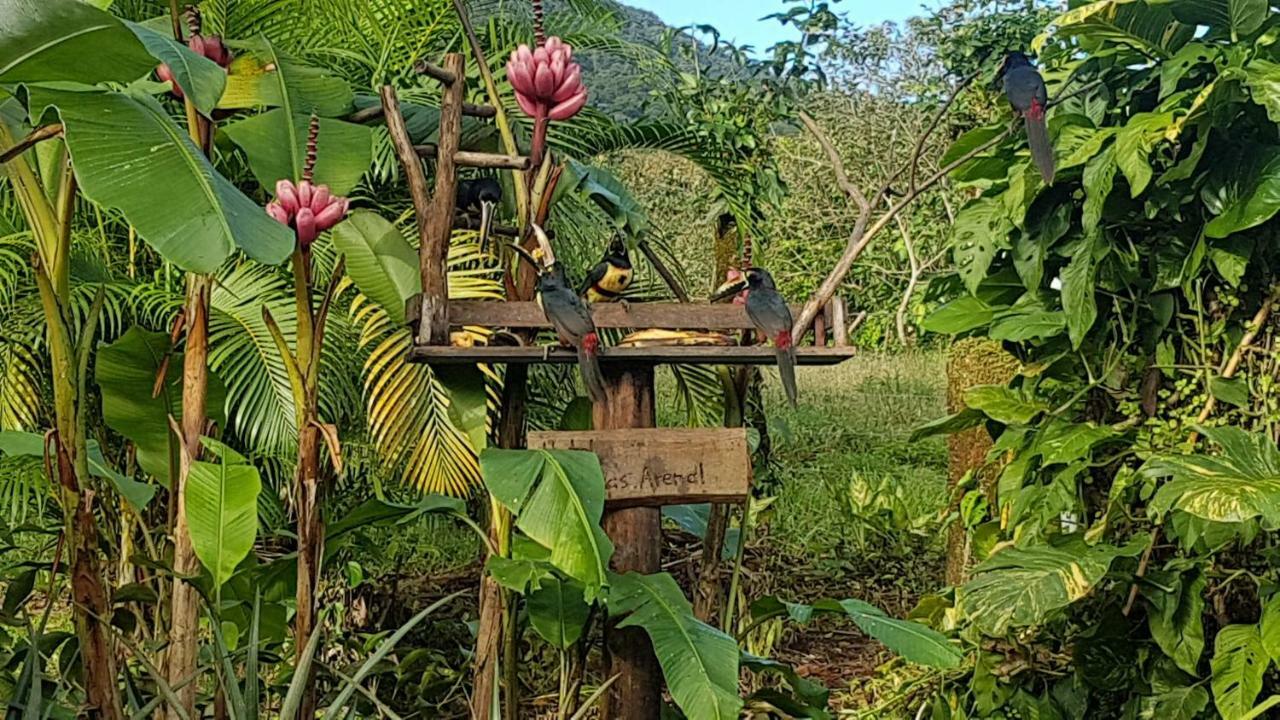 Hotel Brisas Arenal La Fortuna Luaran gambar